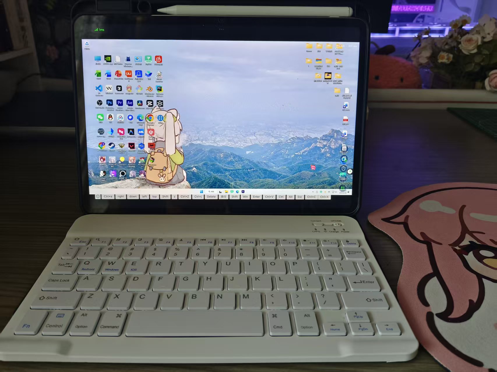 临时远程控制电脑方案